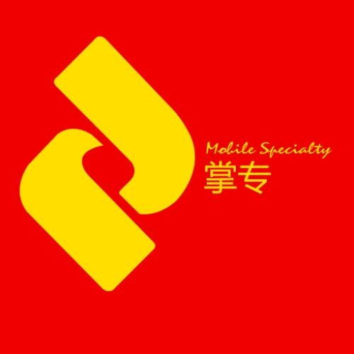 掌专网络科技 引领数字化时代的创新力量