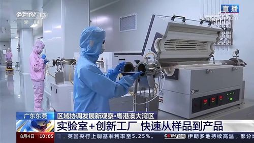 聚焦硬科技转化 东莞松山湖材料实验室的创新动能